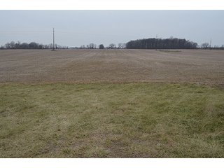 Property photo 23 - LAND AUCTION, 77 Acres offered in 3 Tracts